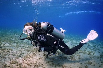 Recreational Diving